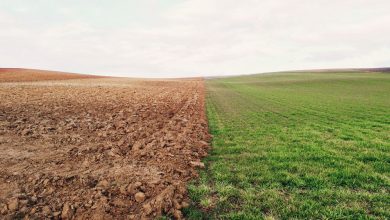 10-trends-on-the-Climate-and-Energy-Agenda