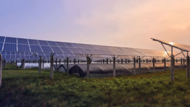 Agrivoltaic-Systems-A-Promising-Experience