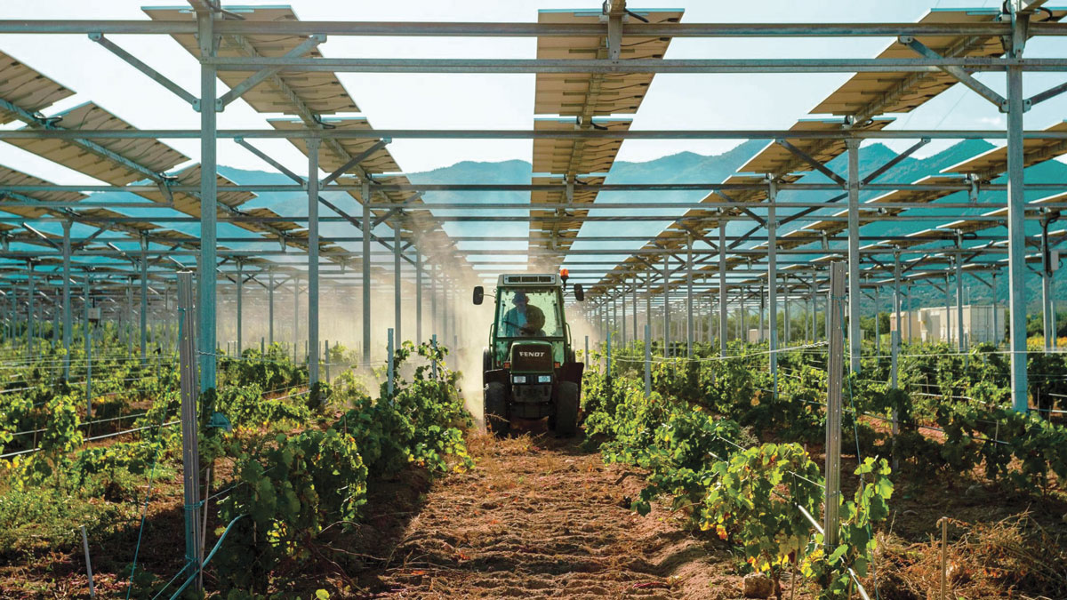 Agrivoltaism-1