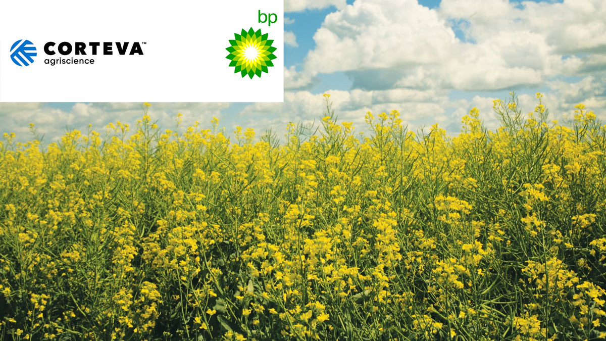 Biofuel-Feedstock-JV-Etlas-to-Produce-Oil-from-Crops-for-SAF-and-RD