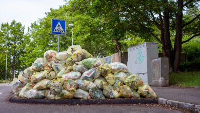 bp-Expands-Investment-in-Bioenergy