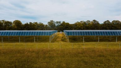 EBRDs-First-Circular-economy-Programme