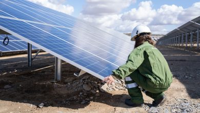 Iberdrola-to-Build-Photovoltaic-Panel-Manufacturing-Plant-in-Spain