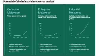 metaverse