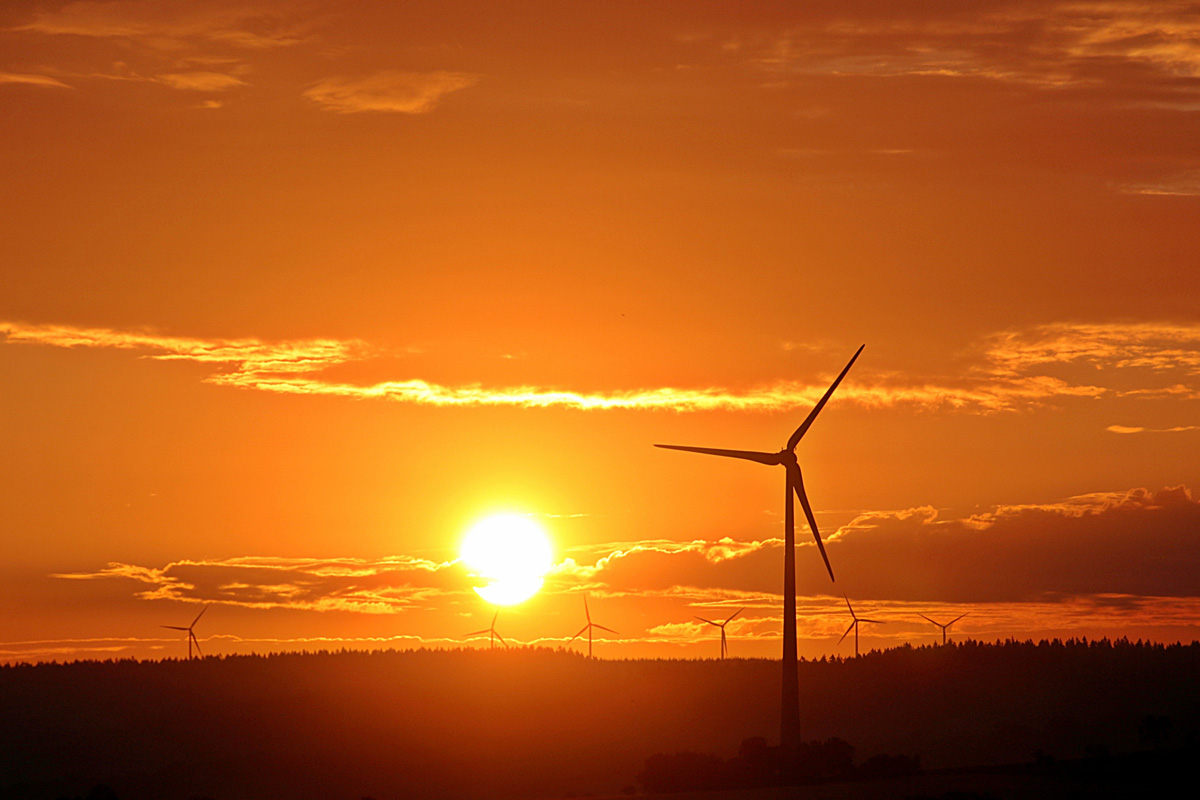 nero wind farm