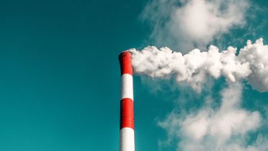Net-zero