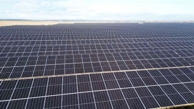 Nofar-Energy-Romania-Adding-256-MW-PV-Project-to-Its-Portfolio