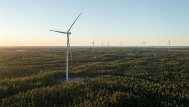 OX2-Sells-20-MW-Wind-Farm-in-Poland