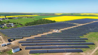 WALDEVAR-Alexandria-TELEORMAN-26-MW-(002)